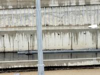 Imagine atasata: 20251108_154716.jpg